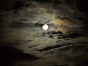 full-moon-erin-sharaf-blog